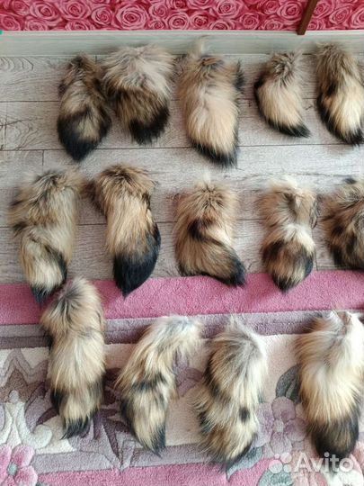 Хвост енота