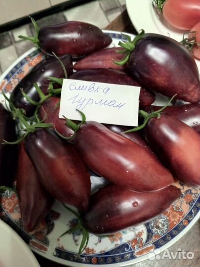 Семена коллекционных сортов томатов