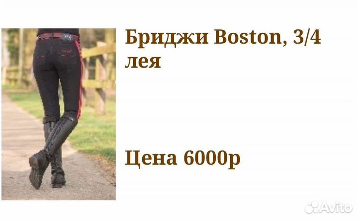 Бриджи для конного спорта