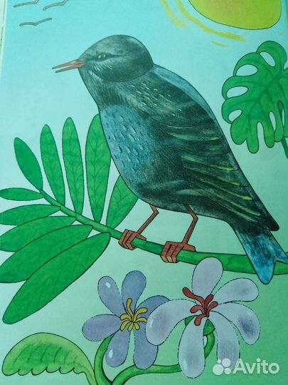 Книга для внеклассного/летнего чтения, 1 класс