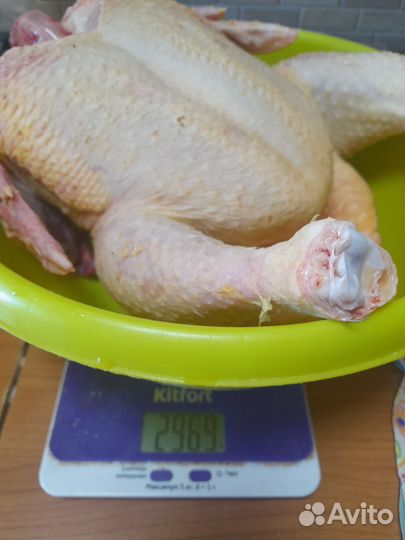 Мясо домашнего бройлера