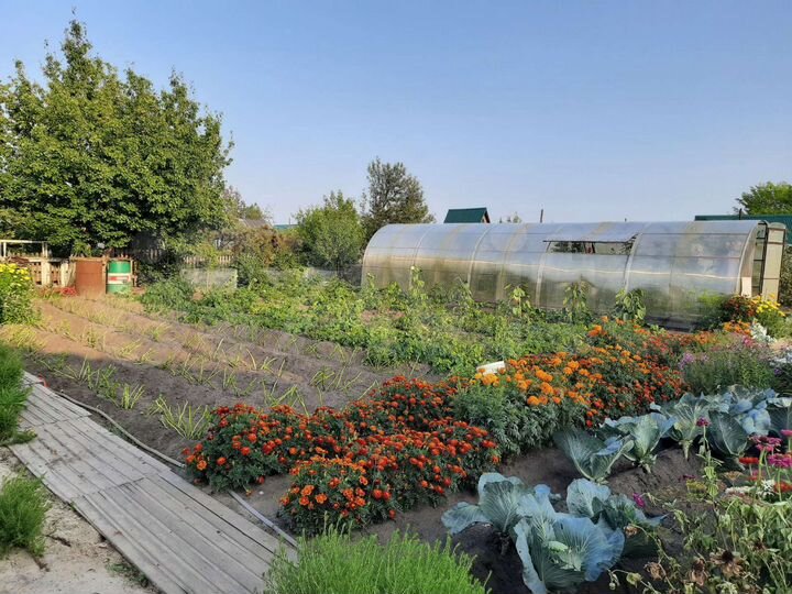 Дача 50 м² на участке 8 сот.