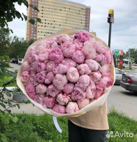 Цветы пионы, букет 9 пионов