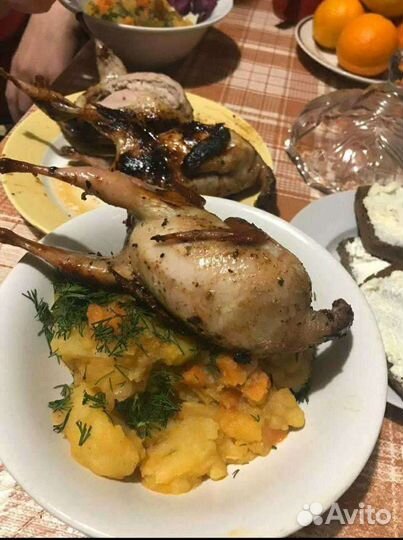 Яйца и мяско перепелов