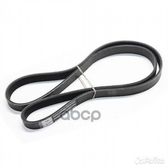 Ремень 1370 генератора поликлиновой с гур для а