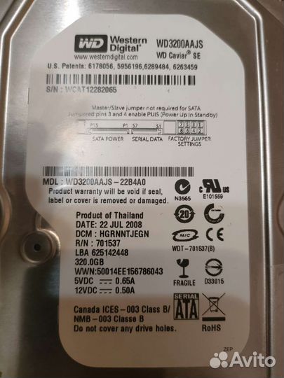 Western Digital Caviar 320 GB