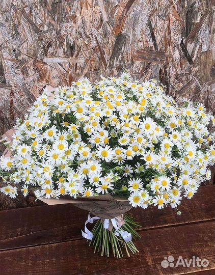 Ромашки Букет из ромашек доставка
