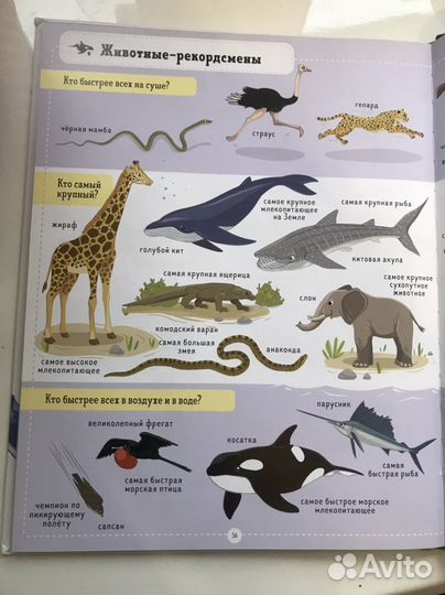 Книга «Я знаю 100 животных»