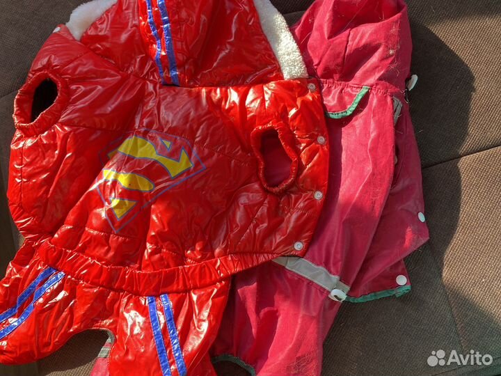 Одежда для собак мелких пород