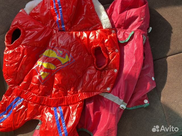 Одежда для собак мелких пород