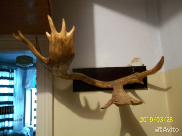 Продам Рога