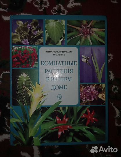 Энциклопедический справочник Комнатные растения