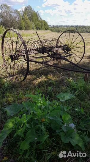 Конные грабли