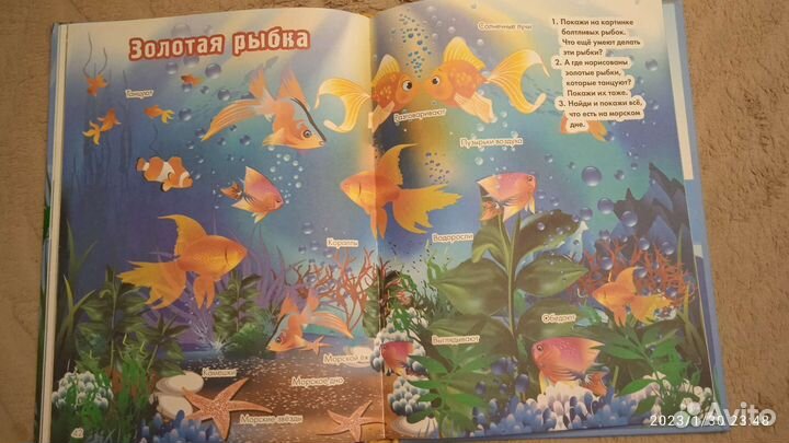 Развивающие книги для детей