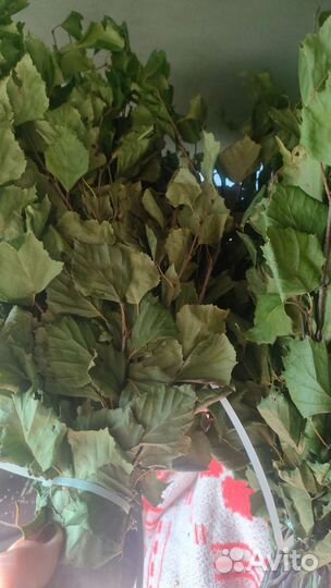 Веники для бани