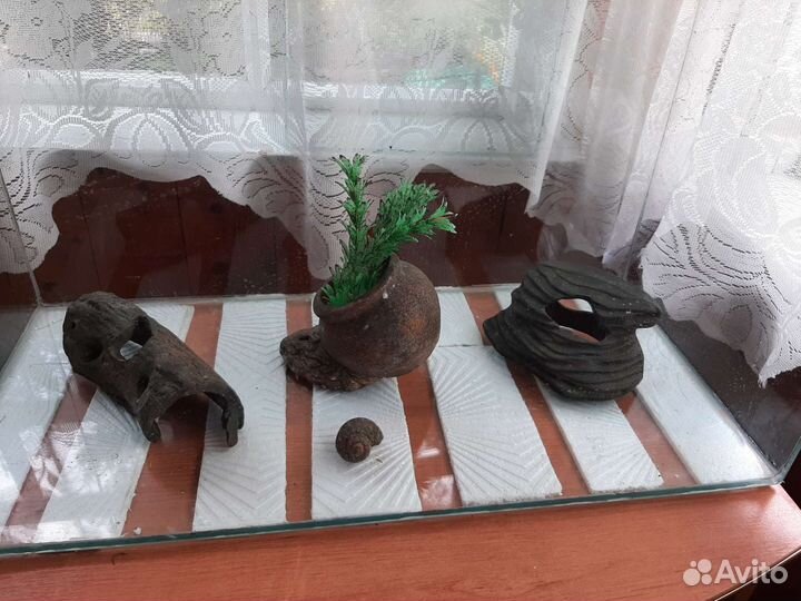 Аквариум и Три грота