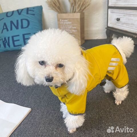 Дождевик для собак мелких и средних пород