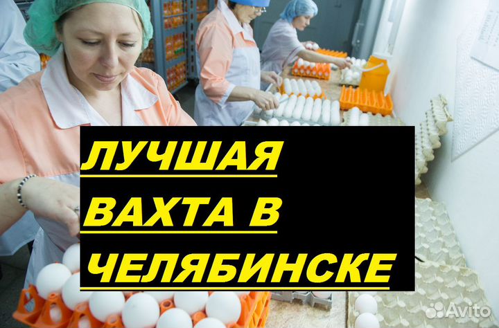 Вахта.Челябинск. Выращивание птицы
