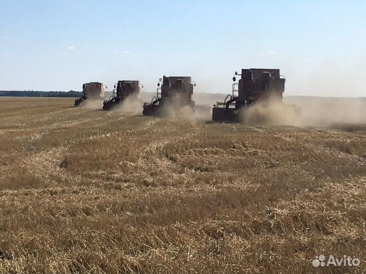 Уборка урожая (зерновые,бобовые)