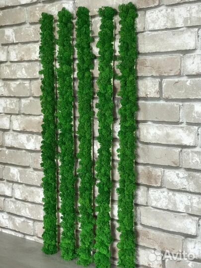 Рейки из стабилизированного мха ягеля