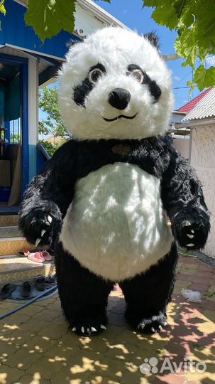 Продаю панду