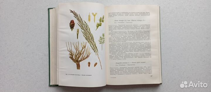 Фитотерапия.лечение лекарственными травами.1972