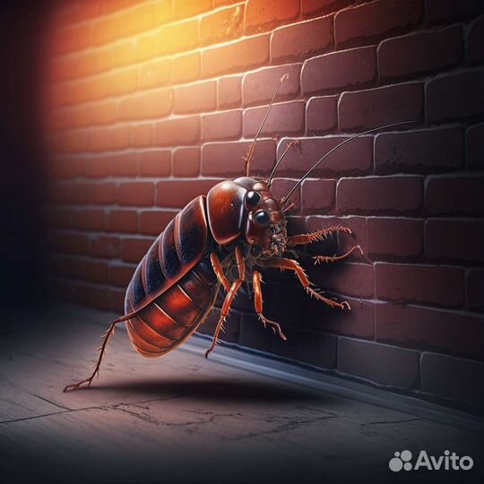 Обработка от клещей комаров ос шершней