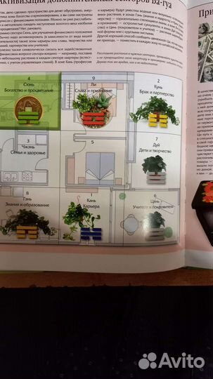 Фен-шуй Подарочный экземпляр