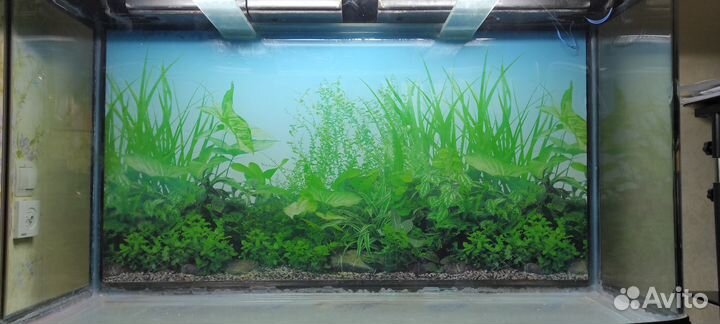 Аквариум с новой тумбой