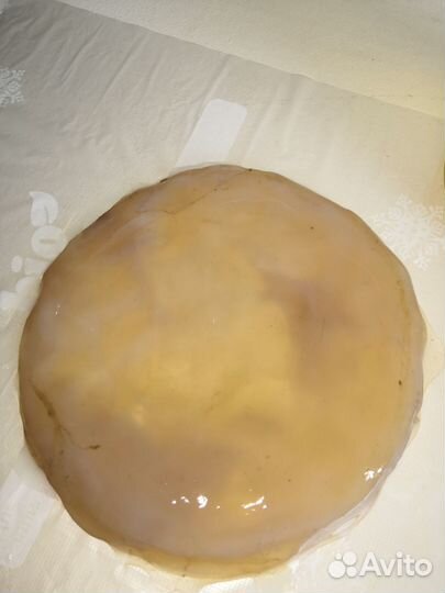 Чайный гриб комбуча и для детей