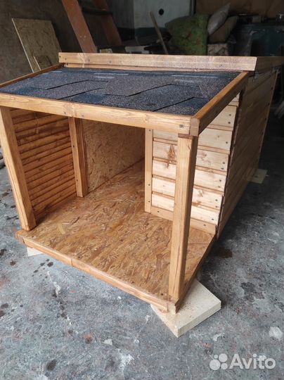 Собачья будка