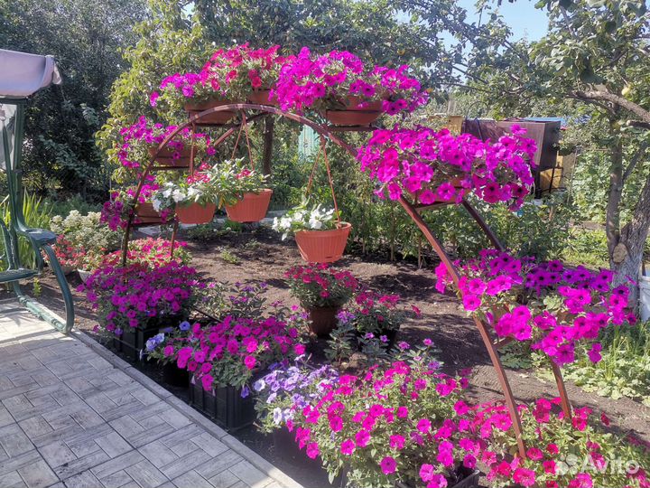 Арка для цветов