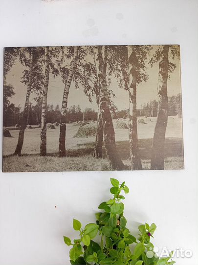 Графика на металле.СССР