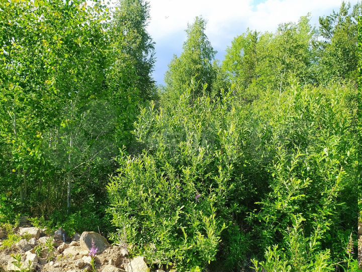 Участок 14,1 сот. (ИЖС)