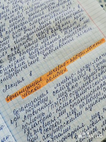 Перепишу конспекты, лекции от руки