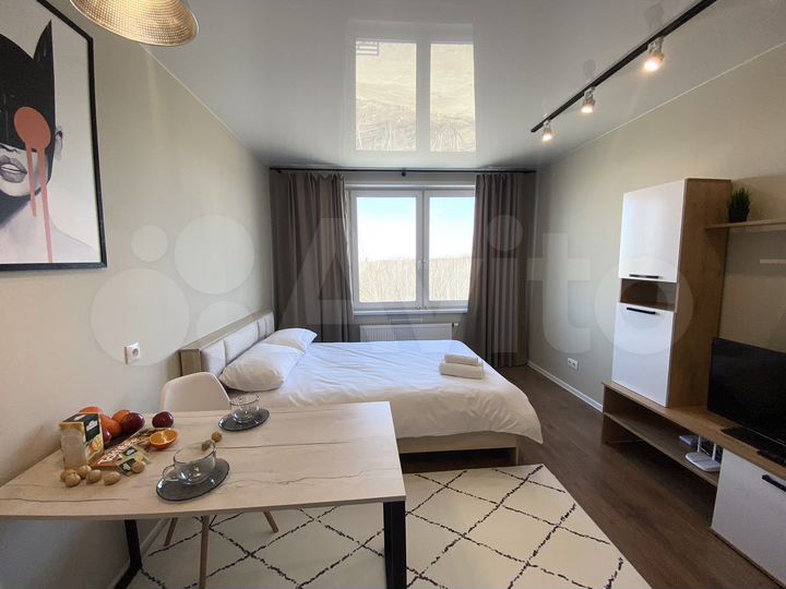 Квартира-студия, 25 м², 8/10 эт.