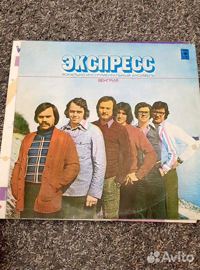 Виниловые пластинки