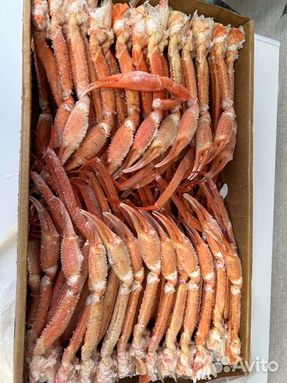 Сахалинские клешни краба стригуна