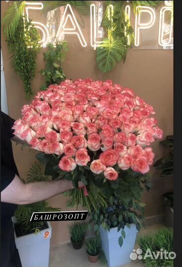 Букеты из 101 розы 90 см