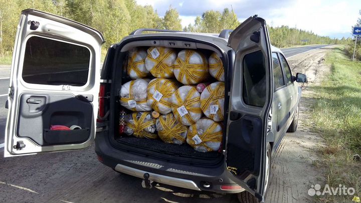 Перевозка грузов