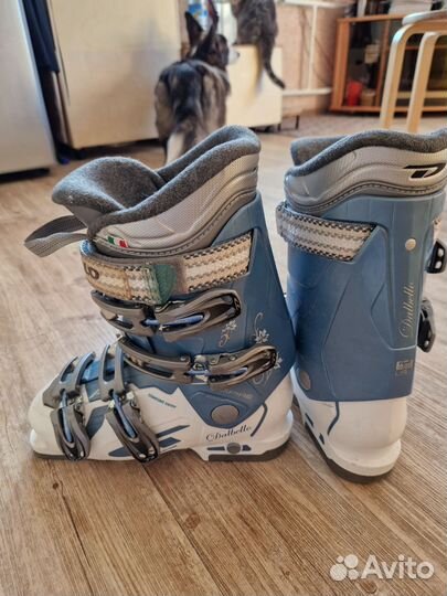 Горнолыжные ботинки 235 мм