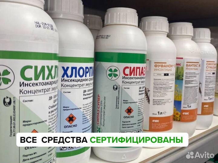 Уничтожение тараканов клопов. Дезинсекция