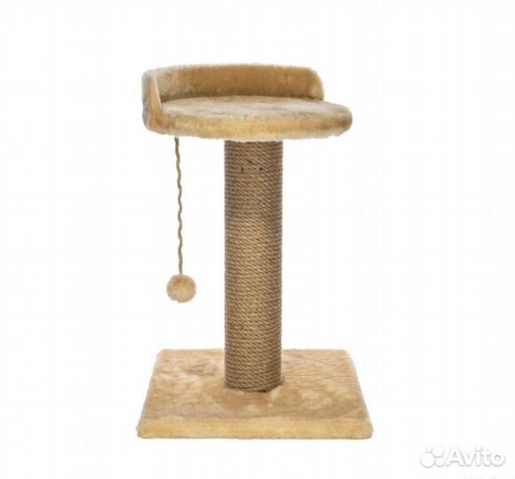 Когтеточка