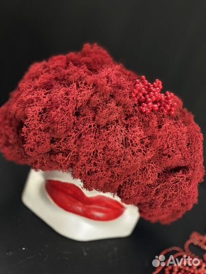 Стабилизированный мох