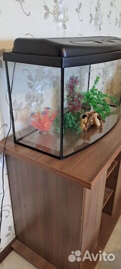 Аквариум с тумбой бу 100 литров