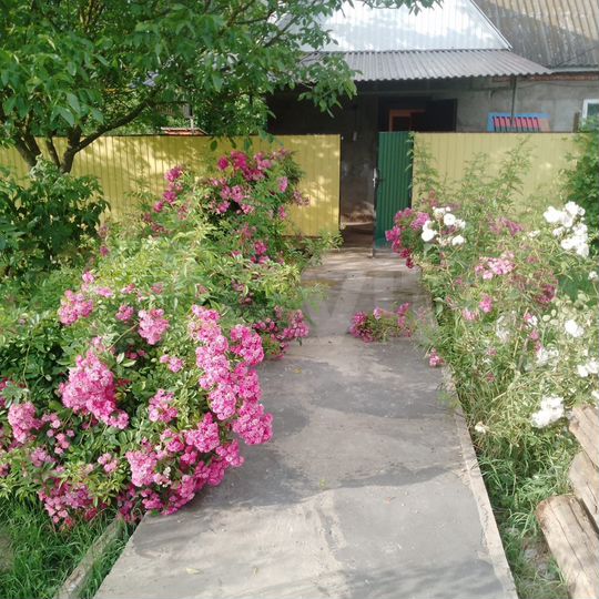 Дом 75 м² на участке 18 сот.