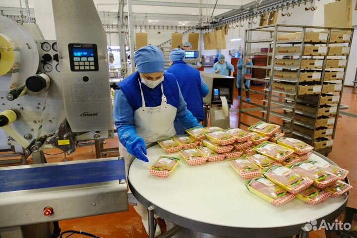 Вакансия вахтовым методом на птицефабрику Пермь