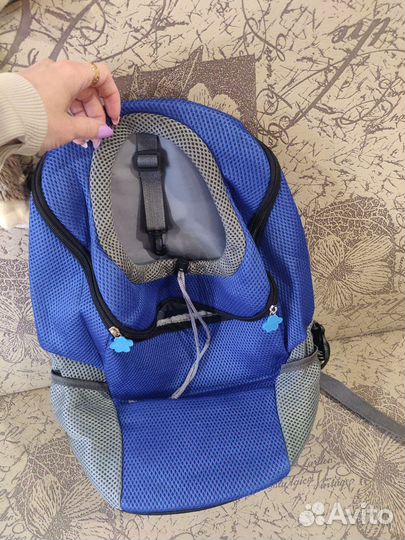 Рюкзак для небольшой собачки