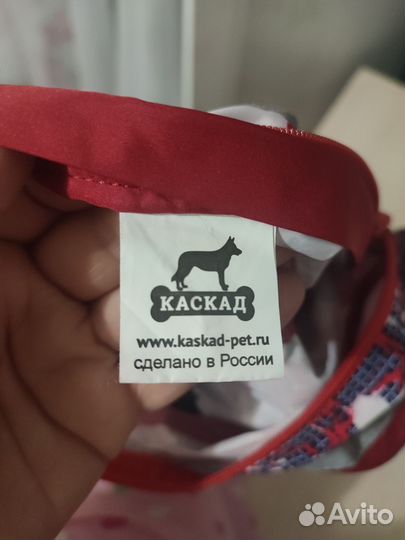 Дождевик для маленькой собаки