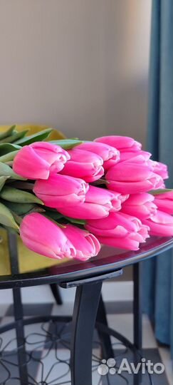 Тюльпаны